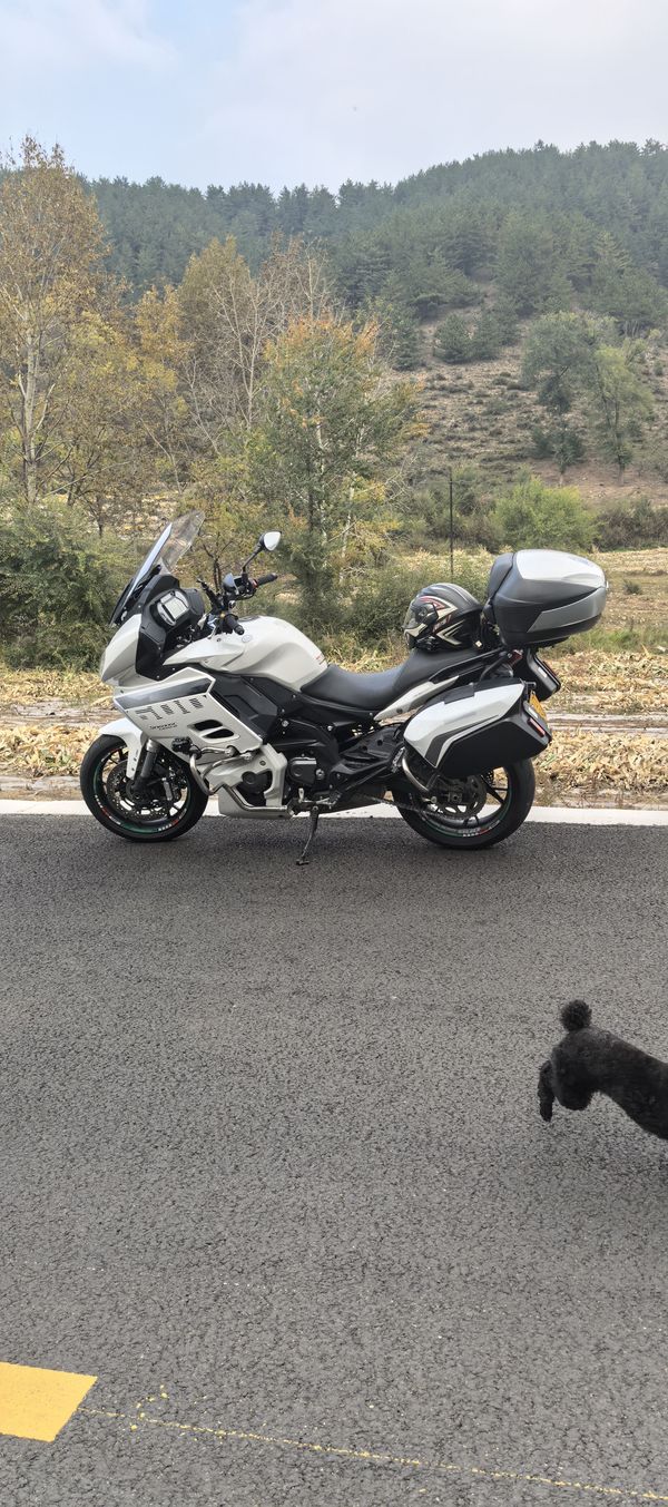 二手贝纳利600GC