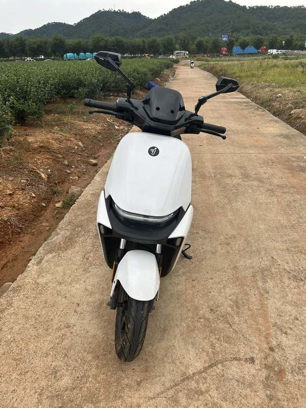 二手九号远航家M