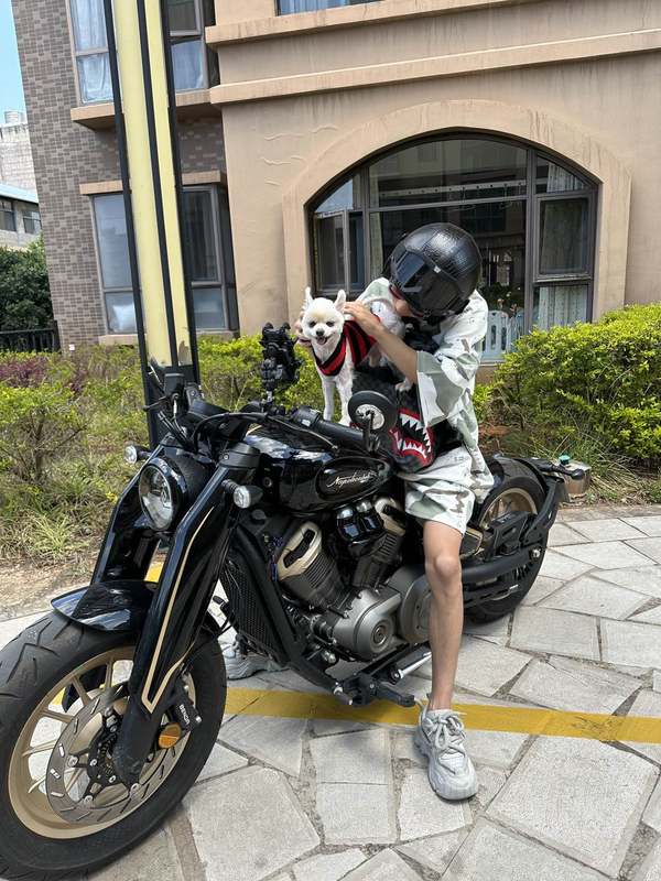 二手奔达拿破仑450