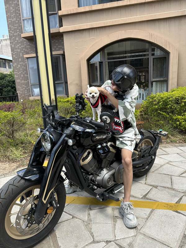 二手奔达拿破仑450