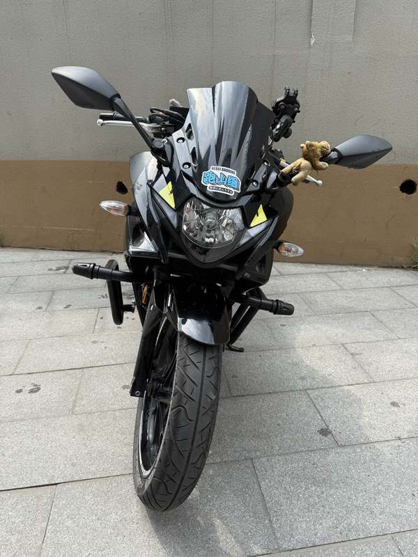 二手豪爵铃木GSX250R