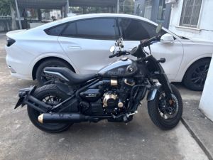 二手赛科龙RA600