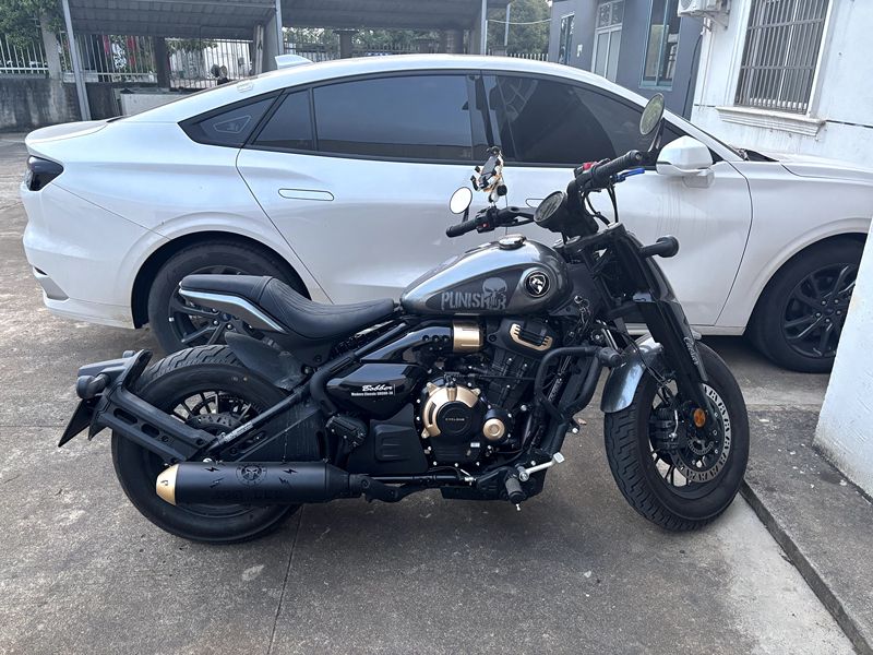 二手赛科龙RA600