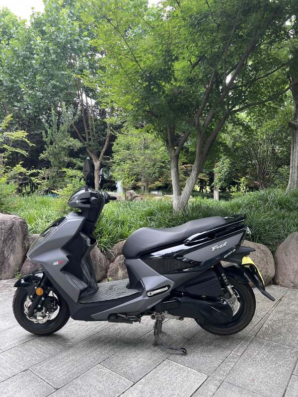 二手三阳FNX150