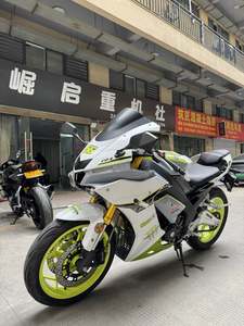 二手宝雕R1S500