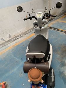 二手三阳Taking 50i