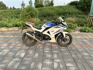 二手山洋SY250-H