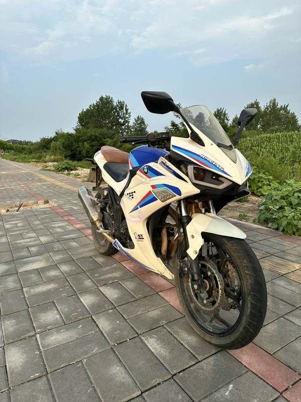 二手山洋SY250-H