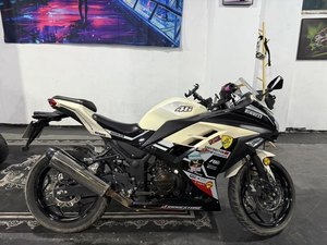 二手宝雕BD200R