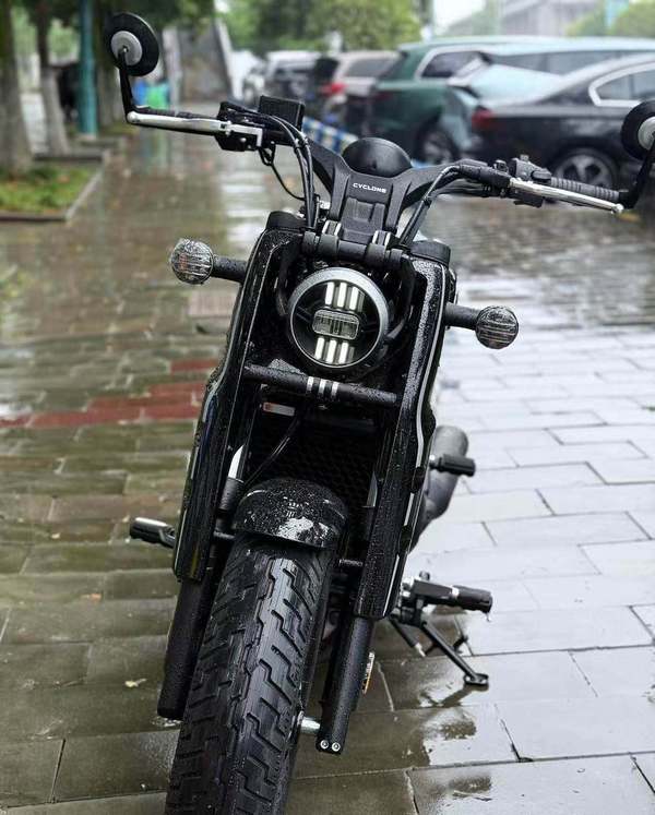 二手赛科龙RA600