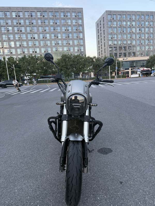 二手贝纳利幼狮 Leoncino 800