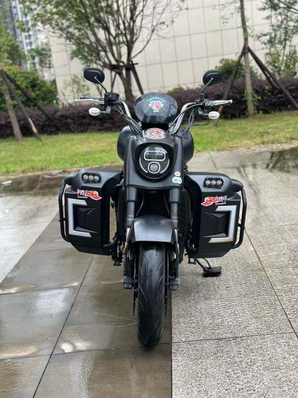 二手摩枭650LS