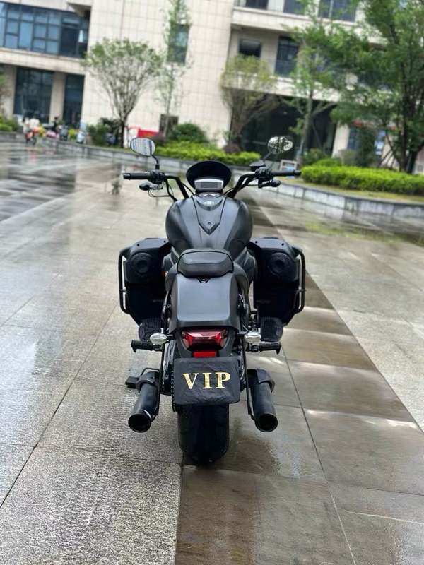 二手摩枭650LS
