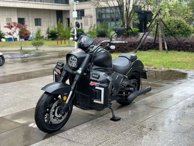 二手摩枭650LS