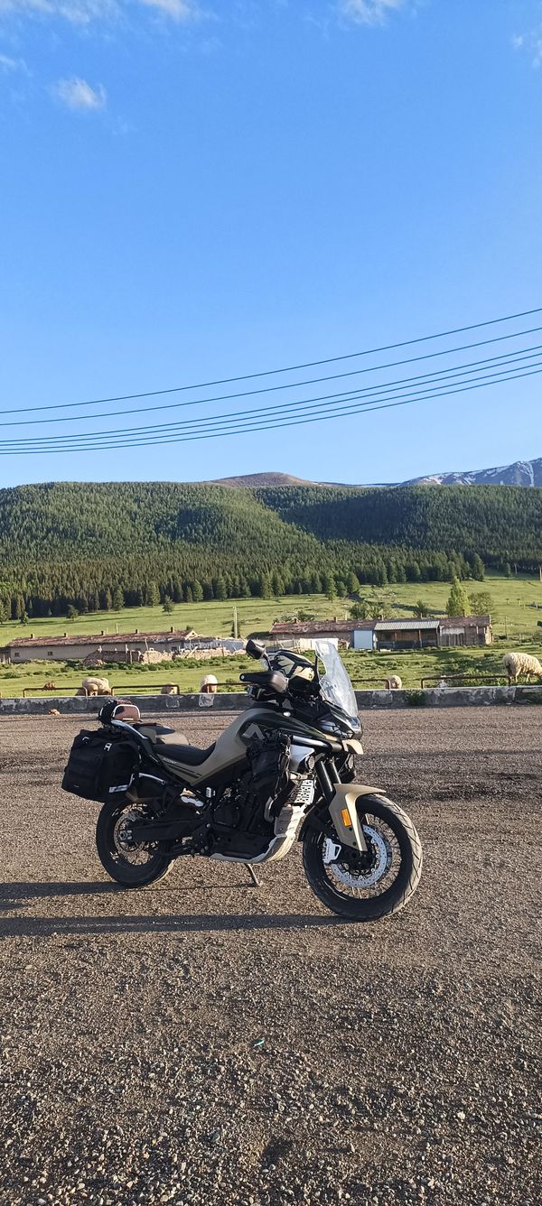 二手春风800MT