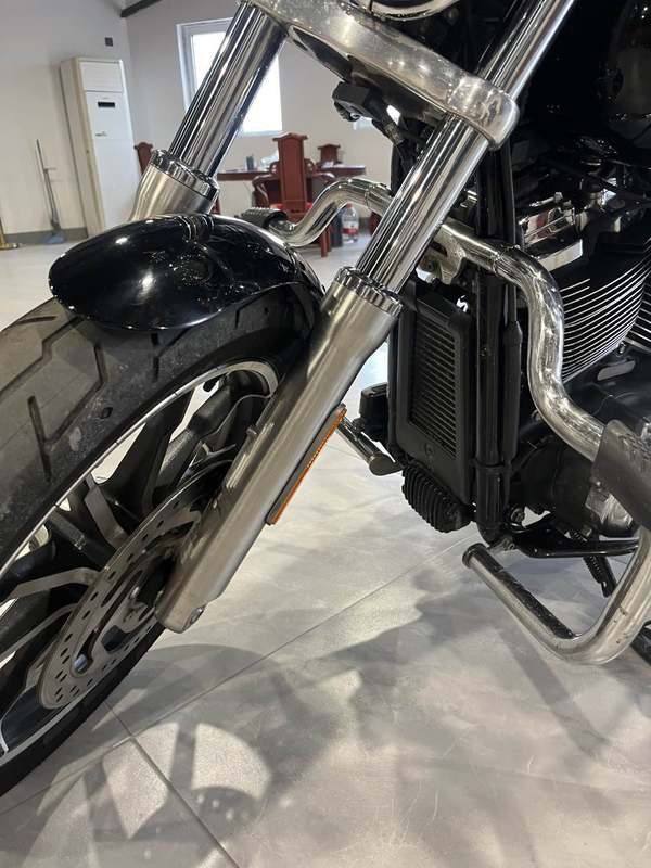 二手哈雷戴维森路威 Low Rider