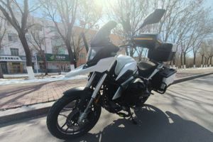 二手赛科龙RX1S