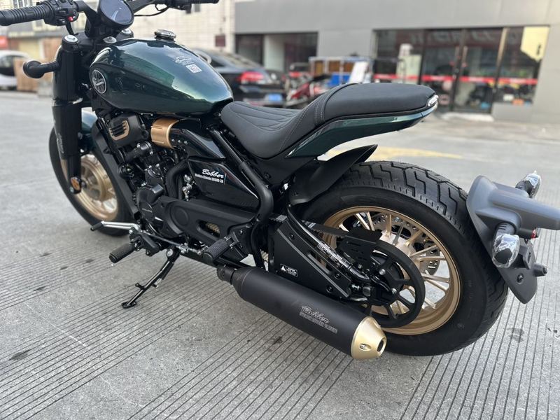 二手赛科龙RA600