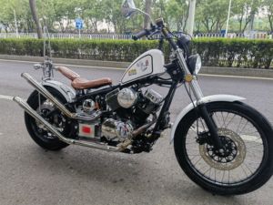 二手柴特Naja250 软尾版