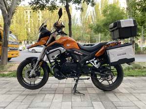 二手赛科龙RX1S