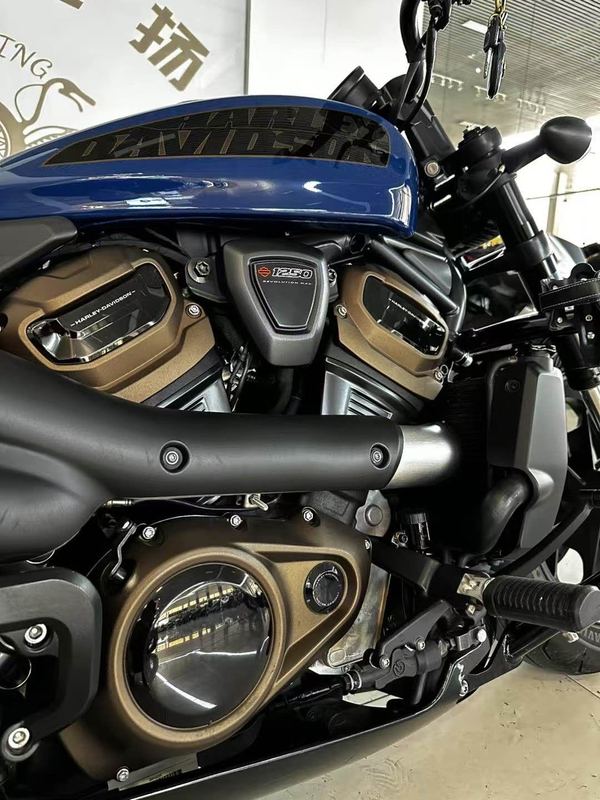 二手哈雷戴维森Sportster S