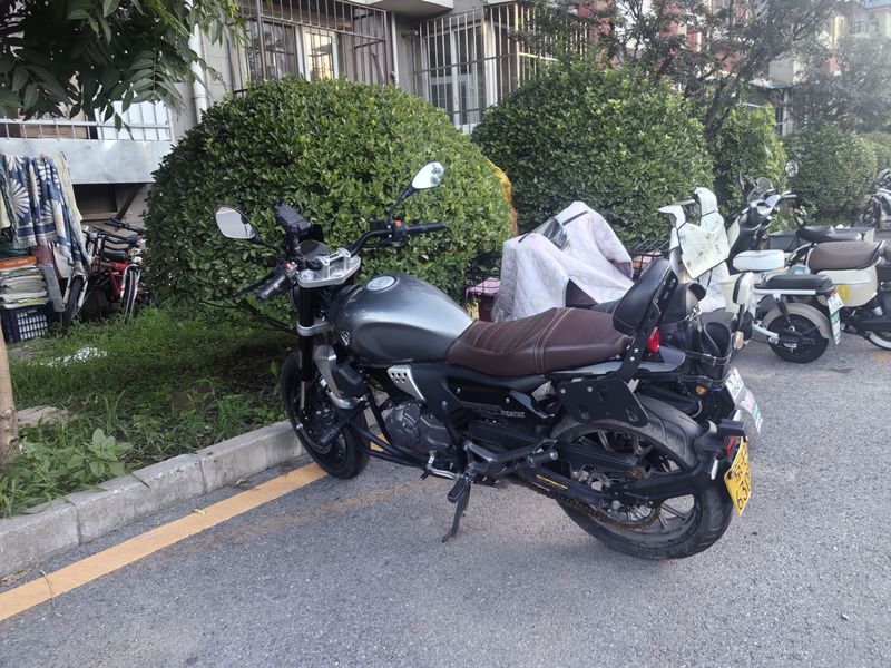 二手赛科龙RE250