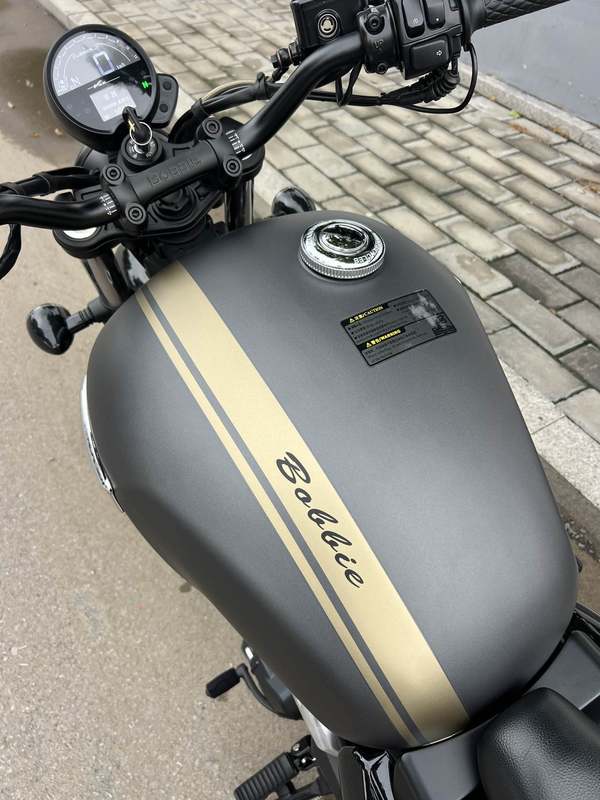 二手长江Bobbie Ⅱ 450S