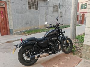 二手赛科龙RA250