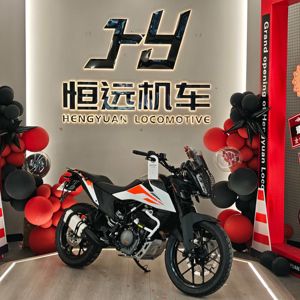 二手KTMR2R390 Adventure