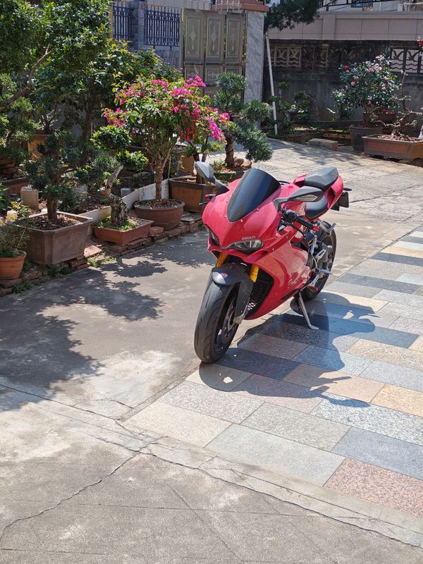 二手摩枭500RR
