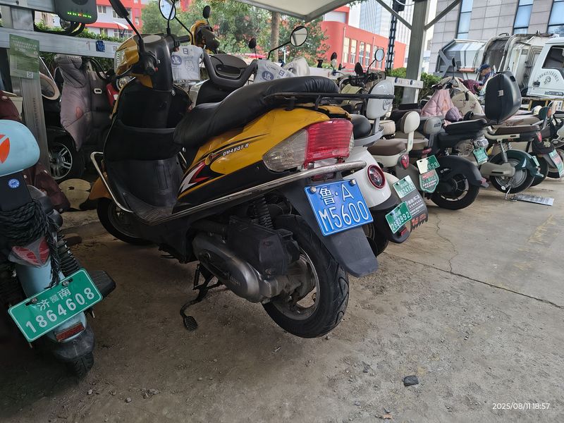 二手轻骑金灵动 QM48QT-8(II)GC