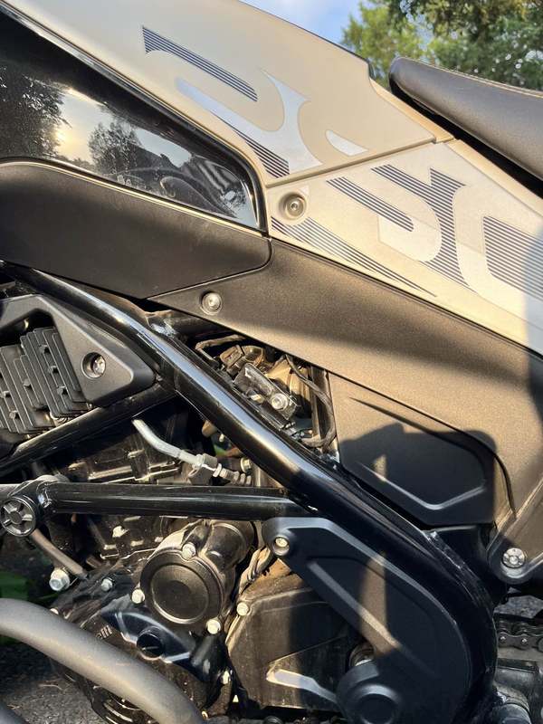 二手贝纳利幼狮 Leoncino 250