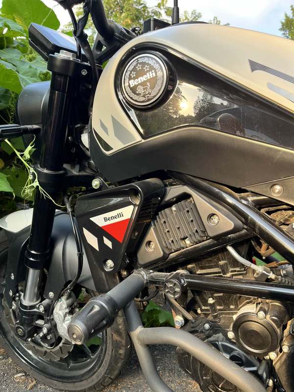 二手贝纳利幼狮 Leoncino 250