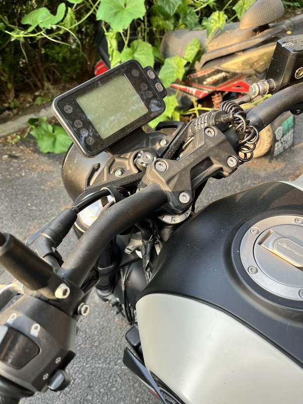 二手贝纳利幼狮 Leoncino 250