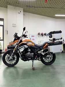 二手赛科龙RX1S