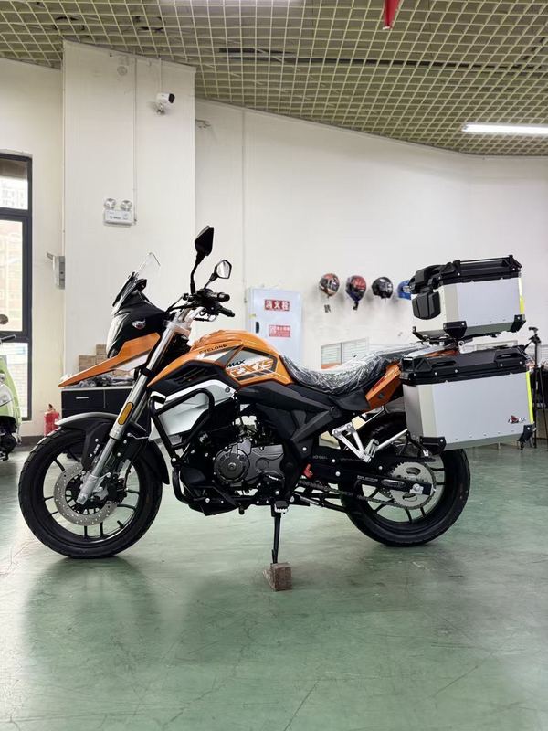 二手赛科龙RX1S