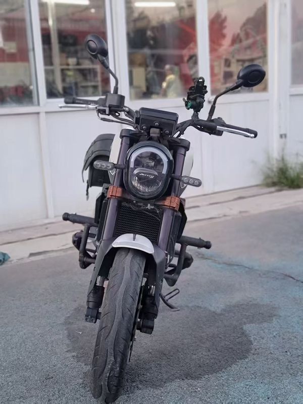 二手贝纳利幼狮 Leoncino 250