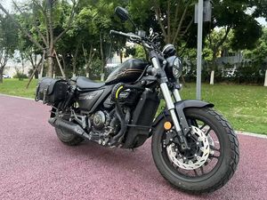 二手赛科龙RA401