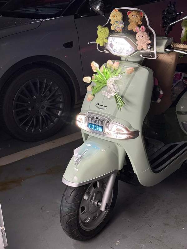 二手维多利亚Sixties 150Si