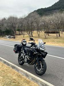 二手凯旋Tiger 1200