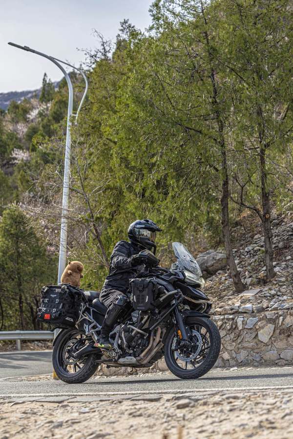 二手凯旋Tiger 1200