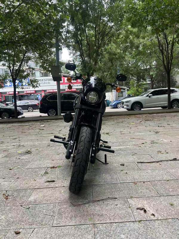 二手哈雷戴维森路威 Low Rider