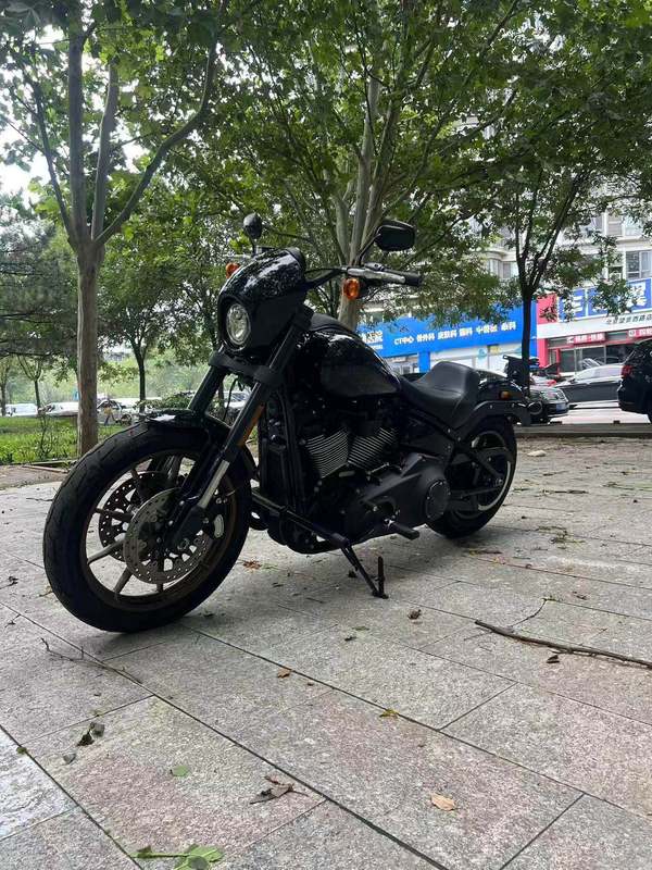 二手哈雷戴维森路威 Low Rider