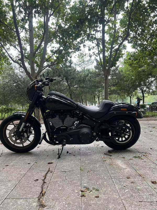 二手哈雷戴维森路威 Low Rider