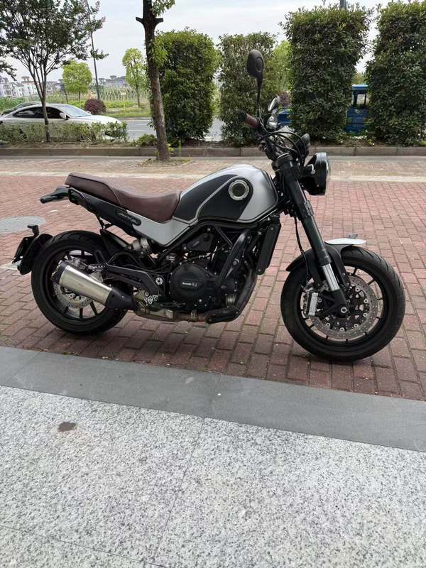 二手贝纳利幼狮 Leoncino 500