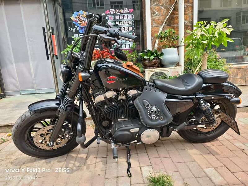 二手哈雷戴维森Softail Standard