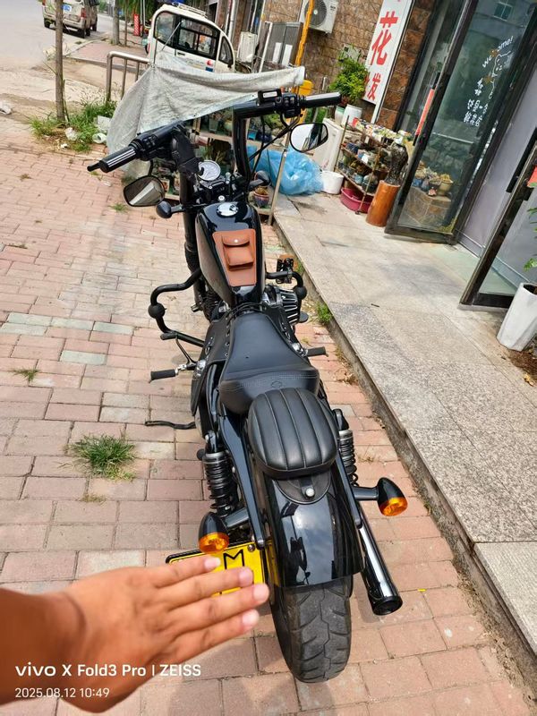 二手哈雷戴维森Softail Standard