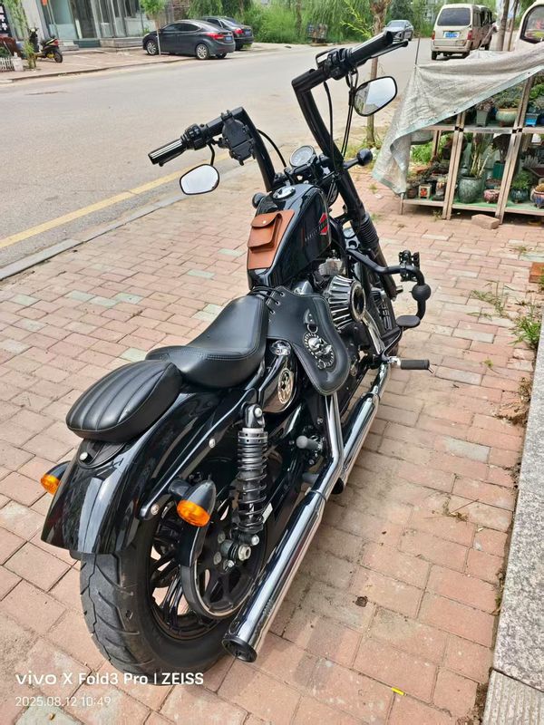 二手哈雷戴维森Softail Standard