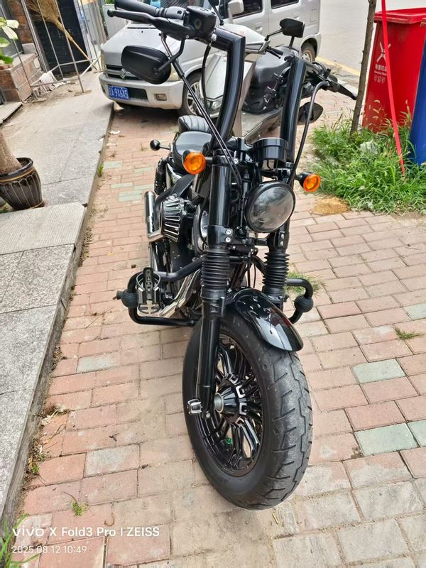 二手哈雷戴维森Softail Standard