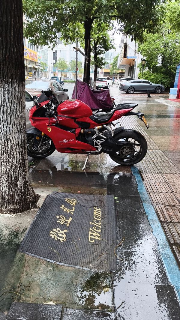 二手摩枭500RR